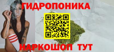 мет Бийск